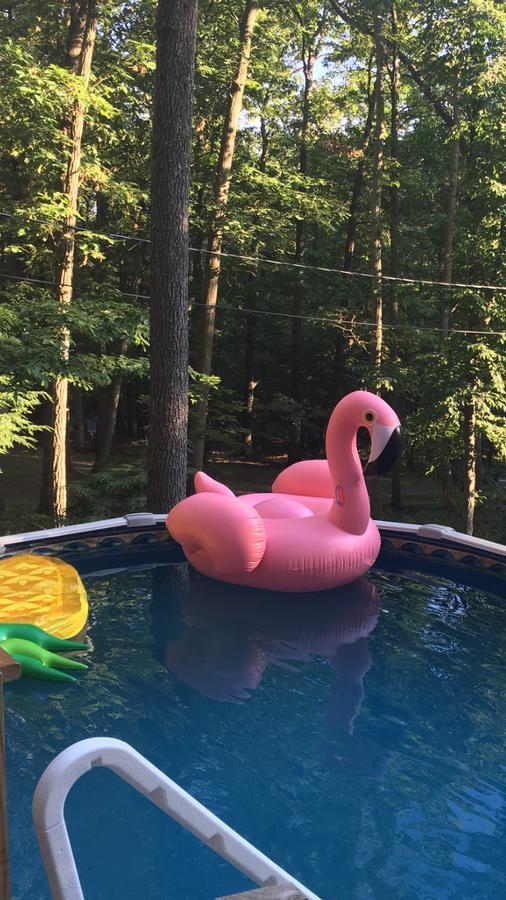 Pocono Cabin With Private Pool At Shawnee Mtn East Stroudsburg Luaran gambar